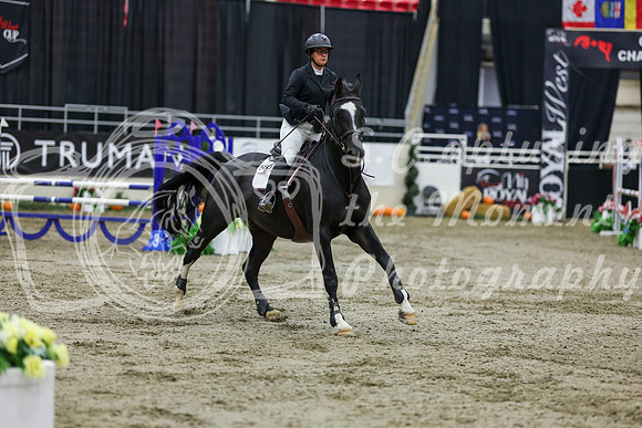 2025 - Shea - Royal West - Saturday October 25th - 02327