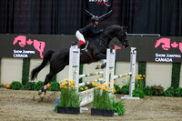 2025 - Shea - Royal West - Saturday October 25th - 02329