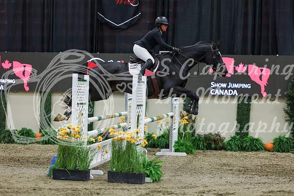 2025 - Shea - Royal West - Saturday October 25th - 02333