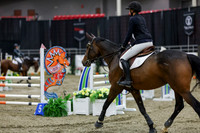 2025 - Shea - Royal West - Saturday October 25th - 02252