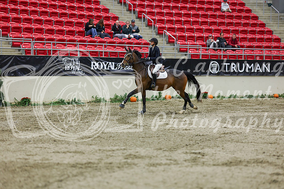 2025 - Shea - Royal West - Saturday October 25th - 02260