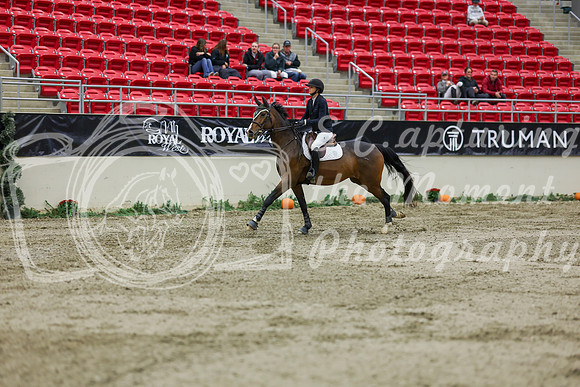 2025 - Shea - Royal West - Saturday October 25th - 02261