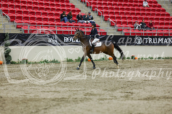2025 - Shea - Royal West - Saturday October 25th - 02262