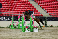 2025 - Shea - Royal West - Saturday October 25th - 02264