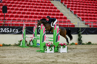 2025 - Shea - Royal West - Saturday October 25th - 02265