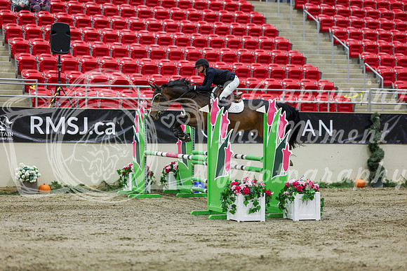 2025 - Shea - Royal West - Saturday October 25th - 02268