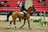 2025 - Shea - Royal West - Saturday October 25th - 06298