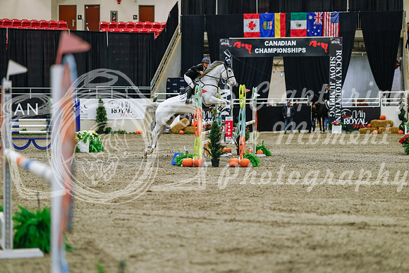 2025 - Haylee - Royal West - Saturday October 25th - 03509_1