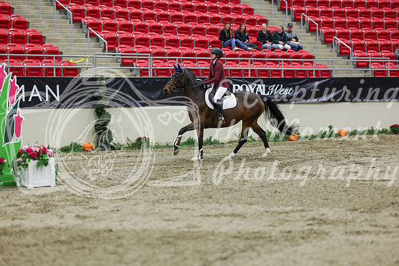 2025 - Shea - Royal West - Saturday October 25th - 02115