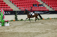 2025 - Shea - Royal West - Saturday October 25th - 02116
