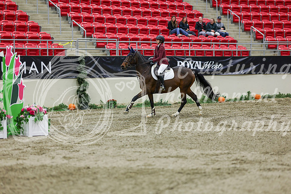2025 - Shea - Royal West - Saturday October 25th - 02116