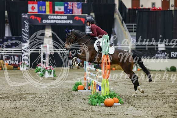 2025 - Shea - Royal West - Saturday October 25th - 02130