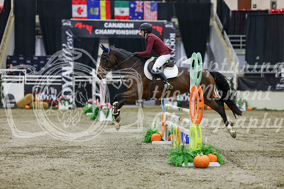 2025 - Shea - Royal West - Saturday October 25th - 02133