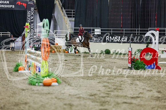 2025 - Shea - Royal West - Saturday October 25th - 02134