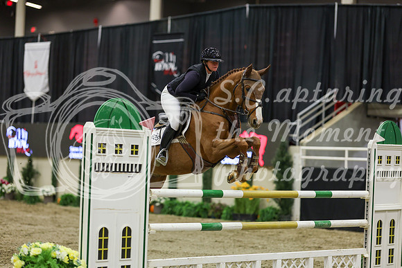 2025 - Shea - Royal West - Saturday October 25th - 06658