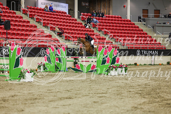 2025 - Shea - Royal West - Saturday October 25th - 06673