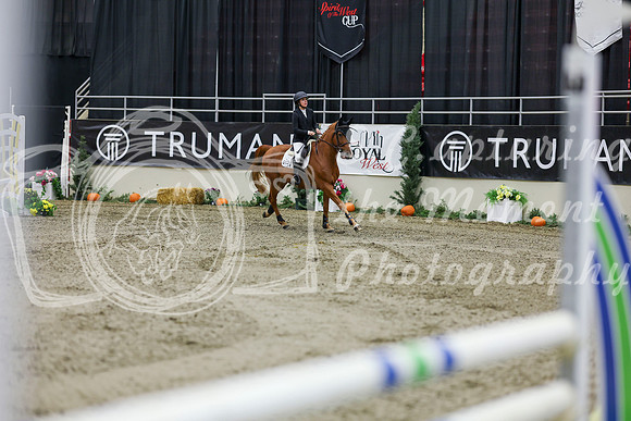 2025 - Shea - Royal West - Saturday October 25th - 01547