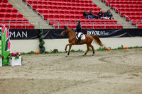 2025 - Shea - Royal West - Saturday October 25th - 01555