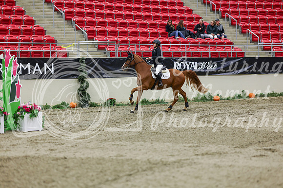 2025 - Shea - Royal West - Saturday October 25th - 01555