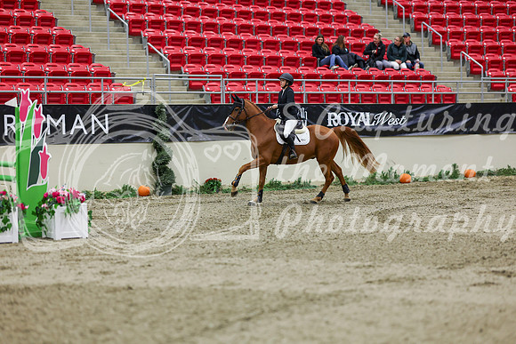 2025 - Shea - Royal West - Saturday October 25th - 01556