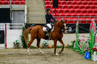 2025 - Haylee - Royal West - Saturday October 25th - 03719_1