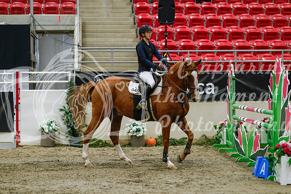 2025 - Haylee - Royal West - Saturday October 25th - 03719_1