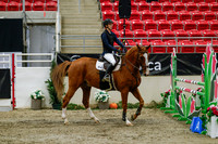 2025 - Haylee - Royal West - Saturday October 25th - 03718_1