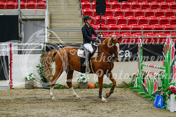 2025 - Haylee - Royal West - Saturday October 25th - 03718_1