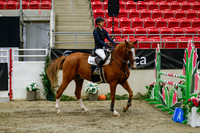 2025 - Haylee - Royal West - Saturday October 25th - 03720_1