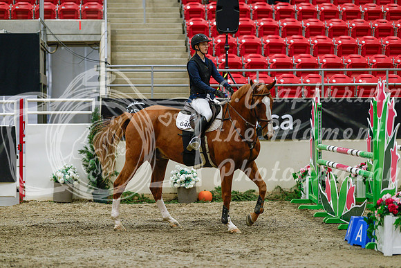 2025 - Haylee - Royal West - Saturday October 25th - 03720_1