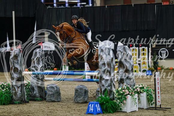 2025 - Haylee - Royal West - Saturday October 25th - 03722_1