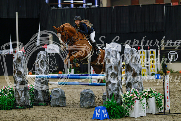 2025 - Haylee - Royal West - Saturday October 25th - 03723_1