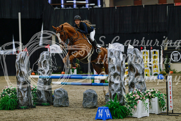 2025 - Haylee - Royal West - Saturday October 25th - 03724_1