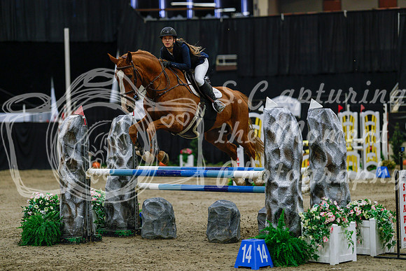 2025 - Haylee - Royal West - Saturday October 25th - 03728_1