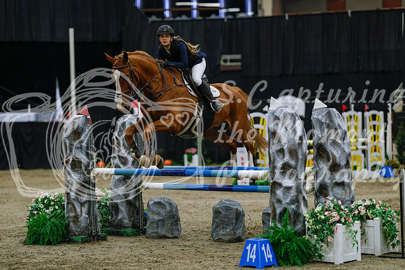 2025 - Haylee - Royal West - Saturday October 25th - 03729_1