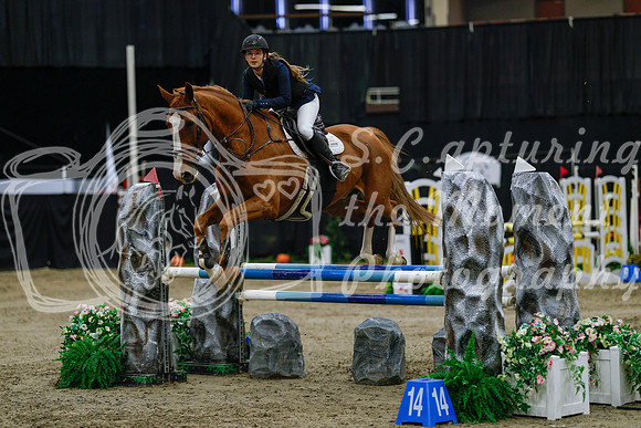 2025 - Haylee - Royal West - Saturday October 25th - 03731_1