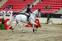 2025 - Shea - Royal West - Saturday October 25th - 02419