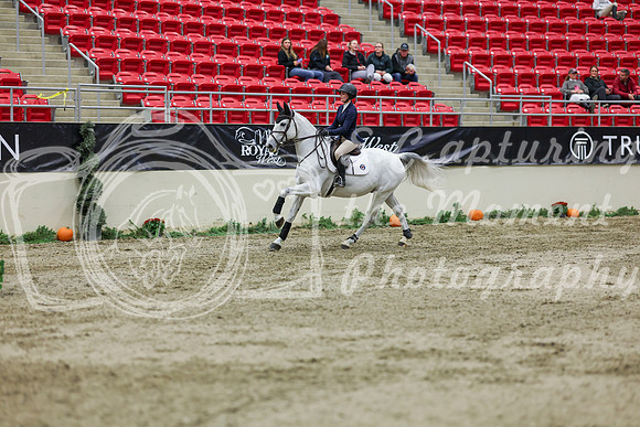 2025 - Shea - Royal West - Saturday October 25th - 02426