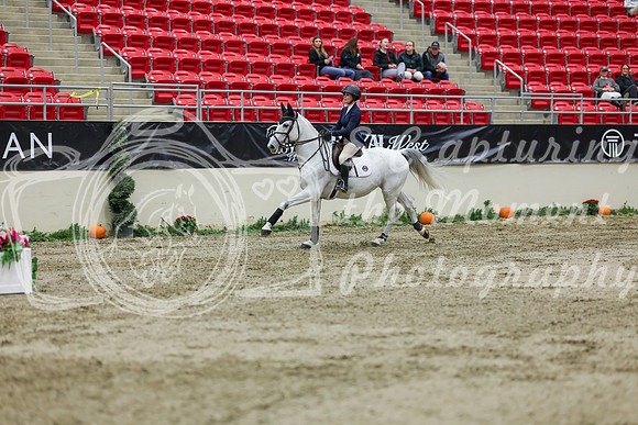 2025 - Shea - Royal West - Saturday October 25th - 02428