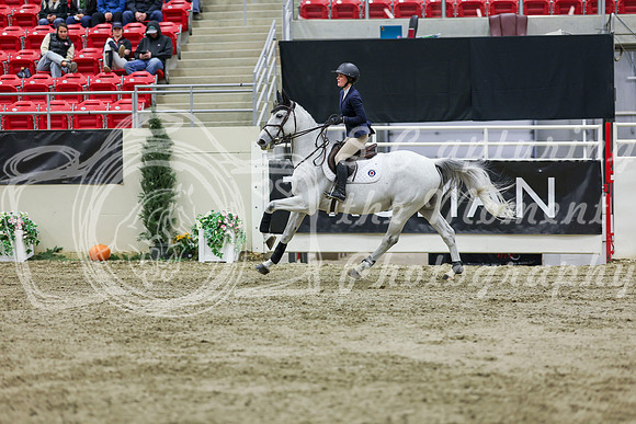 2025 - Shea - Royal West - Saturday October 25th - 02436