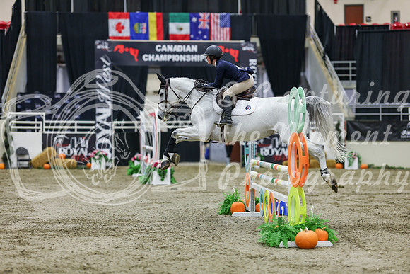 2025 - Shea - Royal West - Saturday October 25th - 02442