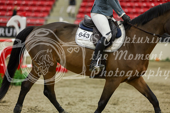 2025 - Shea - Royal West - Saturday October 25th - 07337