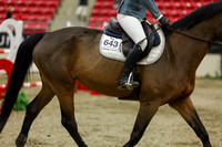 2025 - Shea - Royal West - Saturday October 25th - 07338