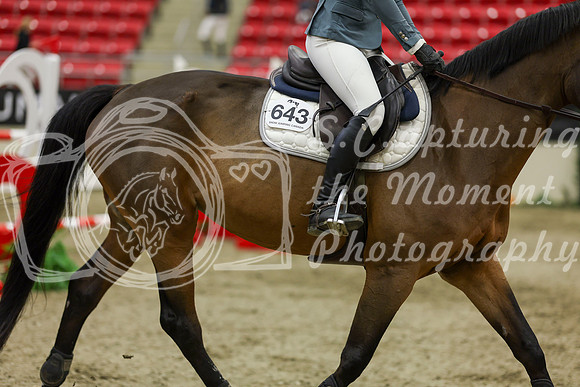 2025 - Shea - Royal West - Saturday October 25th - 07338