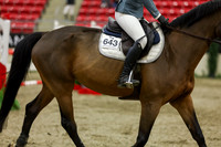 2025 - Shea - Royal West - Saturday October 25th - 07339