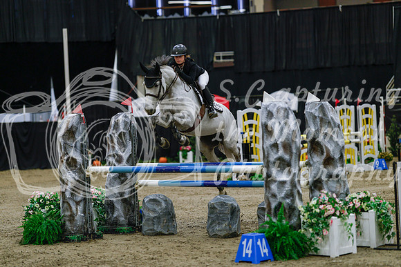2025 - Haylee - Royal West - Saturday October 25th - 03379_1