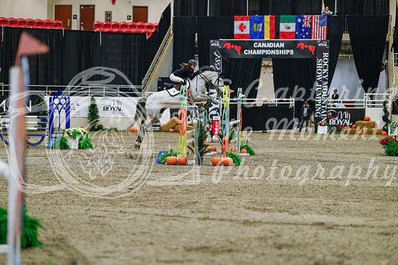2025 - Haylee - Royal West - Saturday October 25th - 03387_1