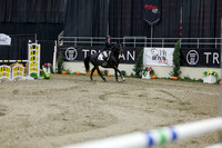 2025 - Shea - Royal West - Saturday October 25th - 01493