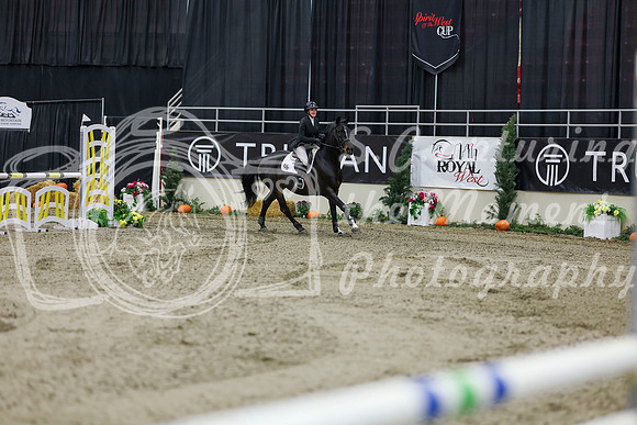2025 - Shea - Royal West - Saturday October 25th - 01493