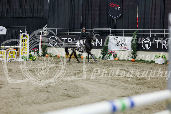 2025 - Shea - Royal West - Saturday October 25th - 01494